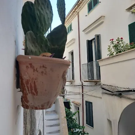 Casa Sifra Delizioso Nel Cuore Del Centro Storico Di 公寓 斯佩隆加