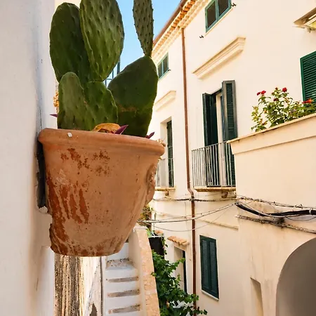 Casa Sifra Nel Cuore Storico Di *